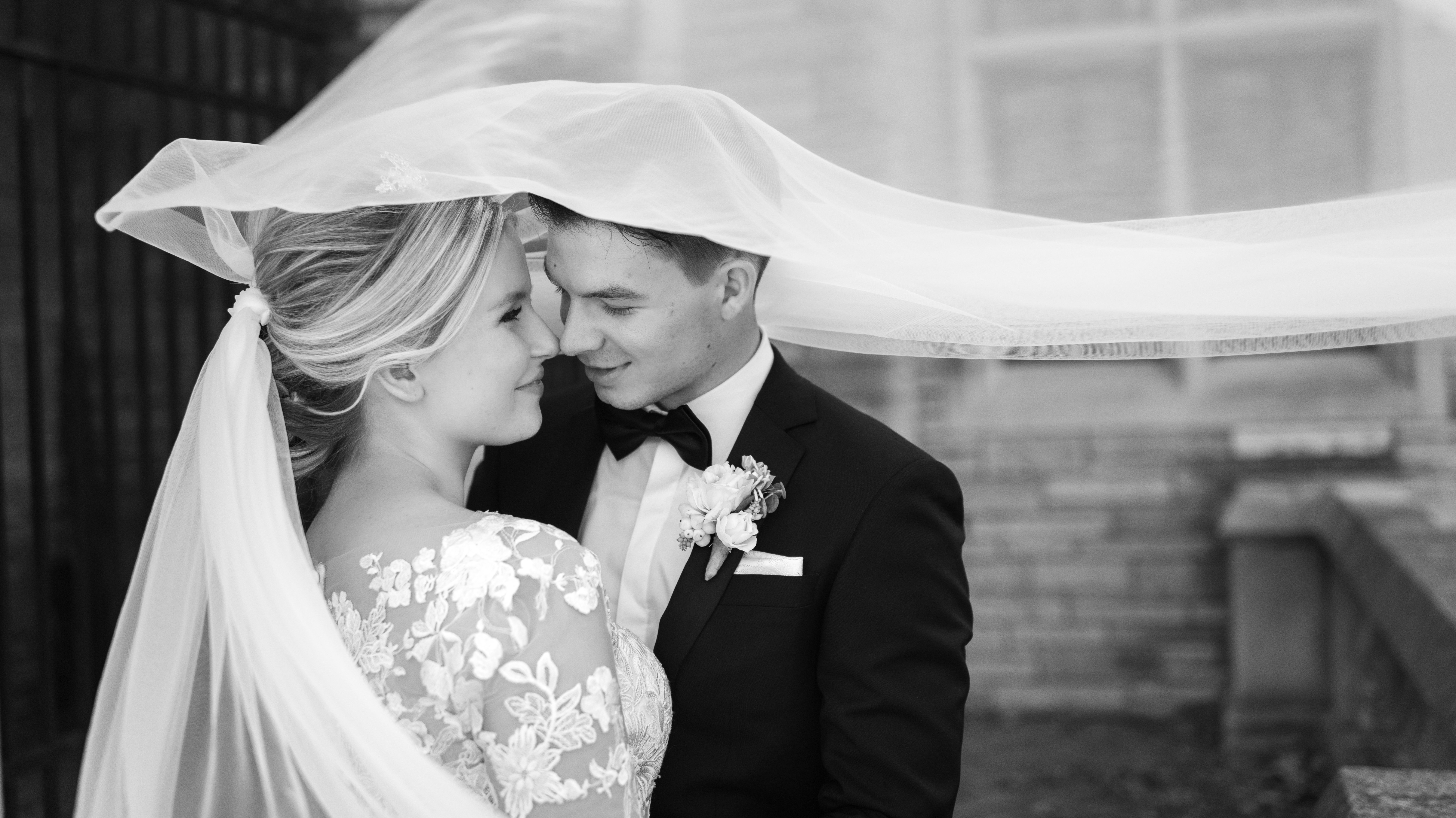 Windsor Ontario Bride and Groom Veil Photo